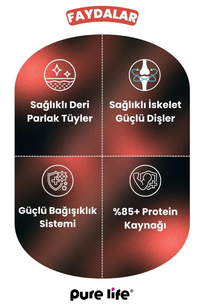 PURELİFE PATE SIĞIR ETLİ 3