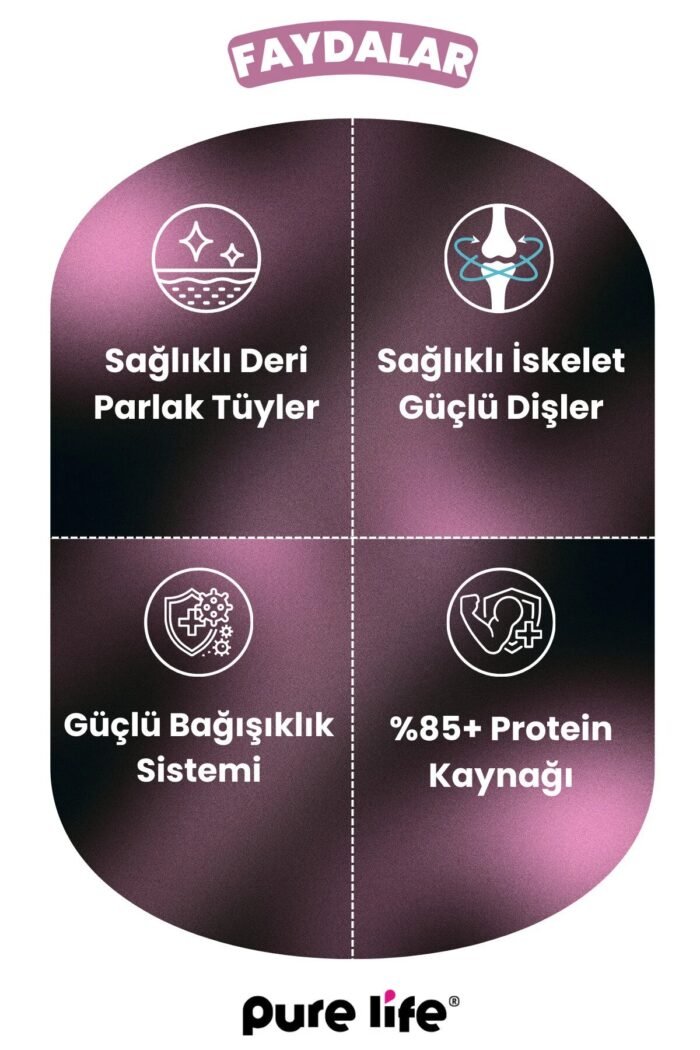 PURELİFE PATE KUZU ETLİ 3