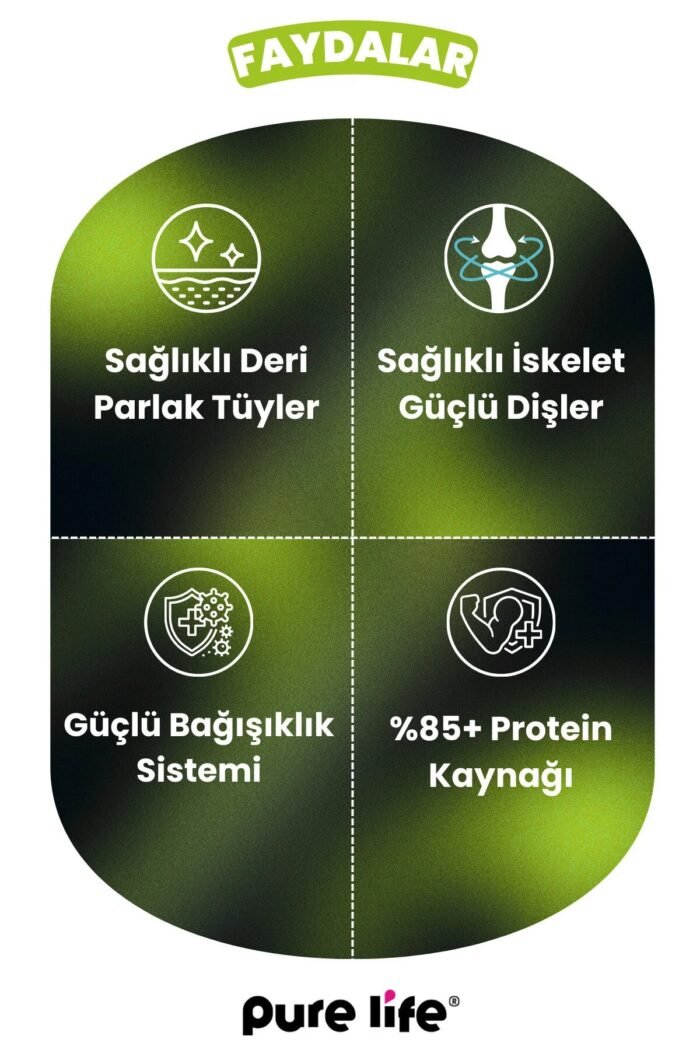 PURELİFE PATE KUZU ETLİ 3
