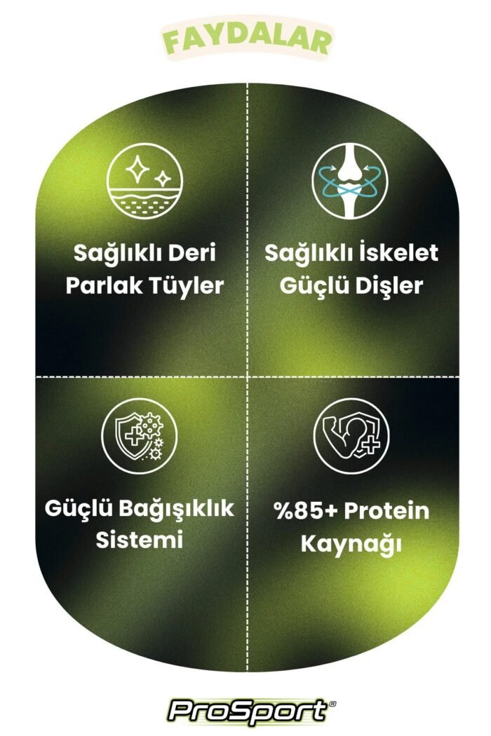 PROSPORT BALIK ETLİ KEDİ 3