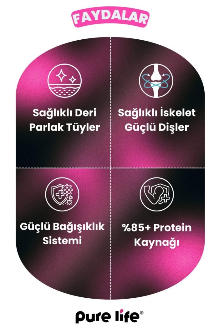 PURELİFE PREMIUM KUZULU YETİŞKİN 3