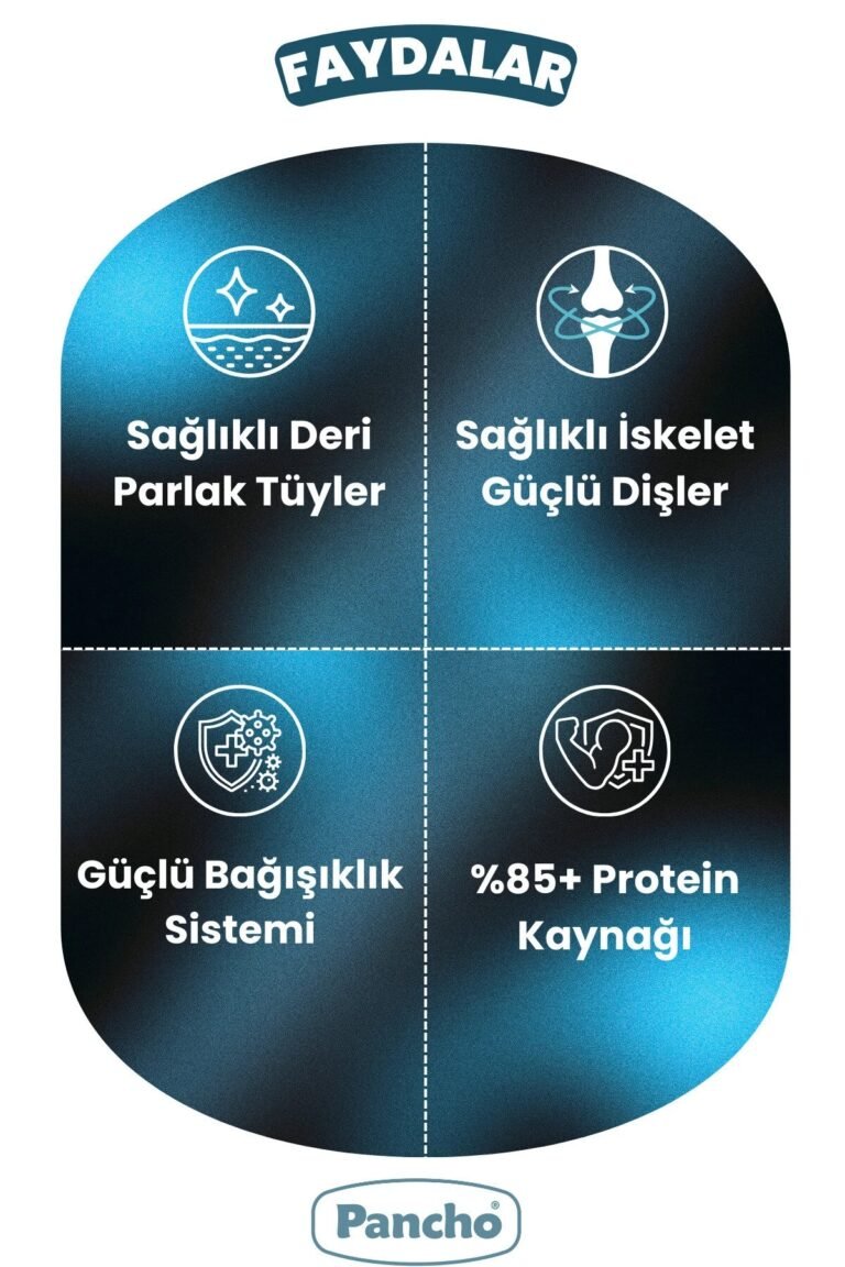 PANCHO KUZU ETLİ KÖPEK 2