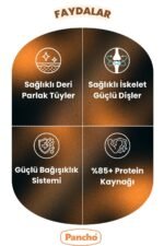 PANCHO KUZU ETLİ KEDİ 3