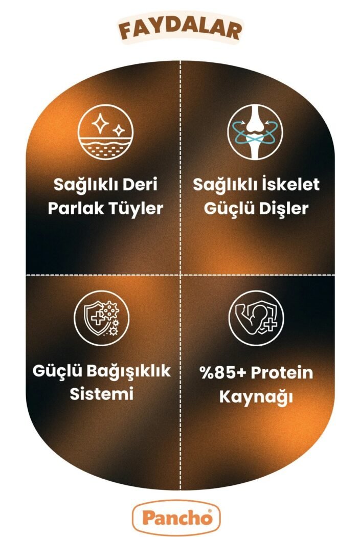 PANCHO KUZU ETLİ KEDİ 3