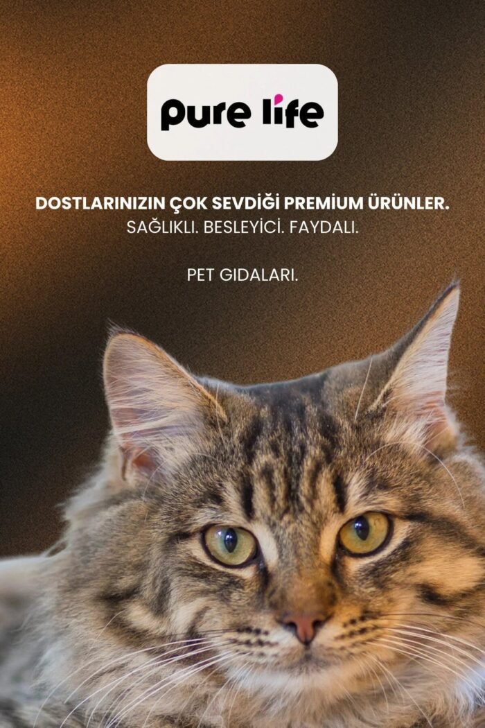 PURELİFE YAVRU KEDİ MAMASI 4