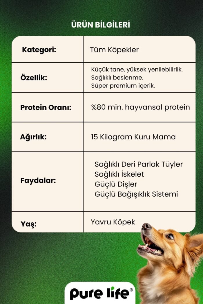 PURELİFE PUPPY KUZULU YAVRU 2