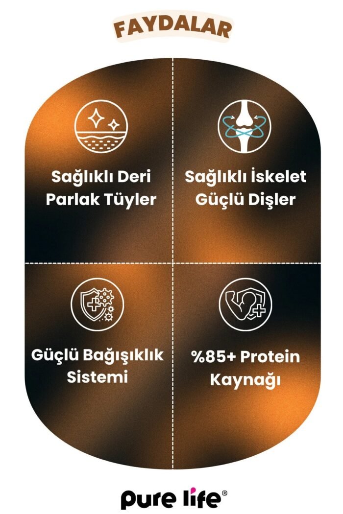 PURELİFE YETİŞKİN KEDİ MAMASI 3