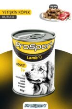 PROSPORT CHUNK KUZU ETLİ