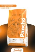 PANCHO KUZU ETLİ KEDİ