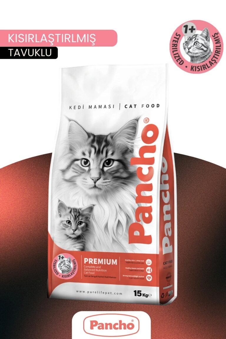 PANCHO KISIR YETİŞKİN KEDİ