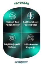 PROSPORT CHUNK KUZU ETLİ 3
