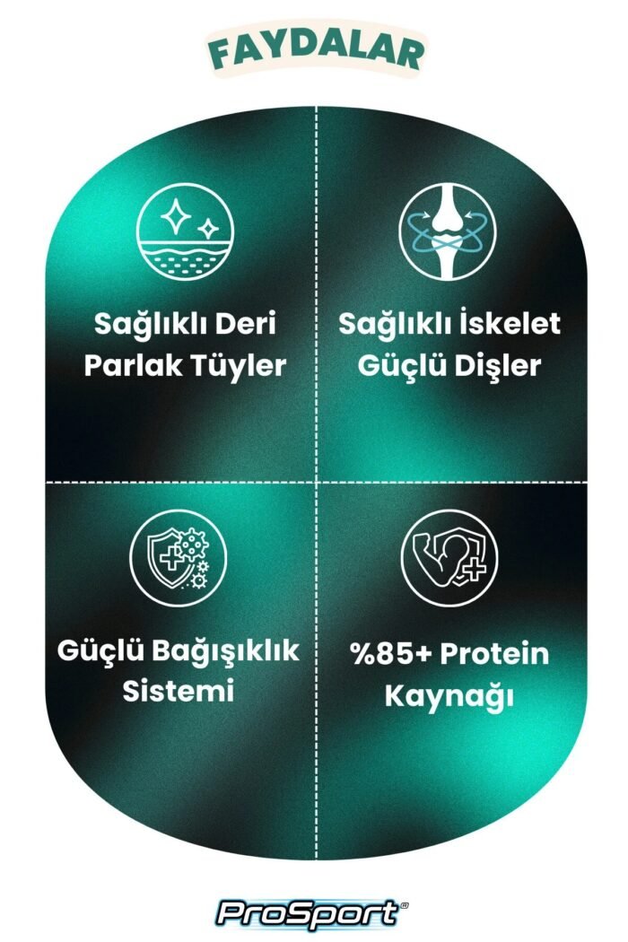 PROSPORT CHUNK KUZU ETLİ 3