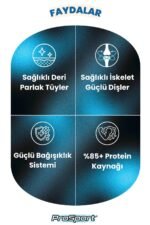 PROSPORT CHUNK SOMONLU YETİŞKİN 3