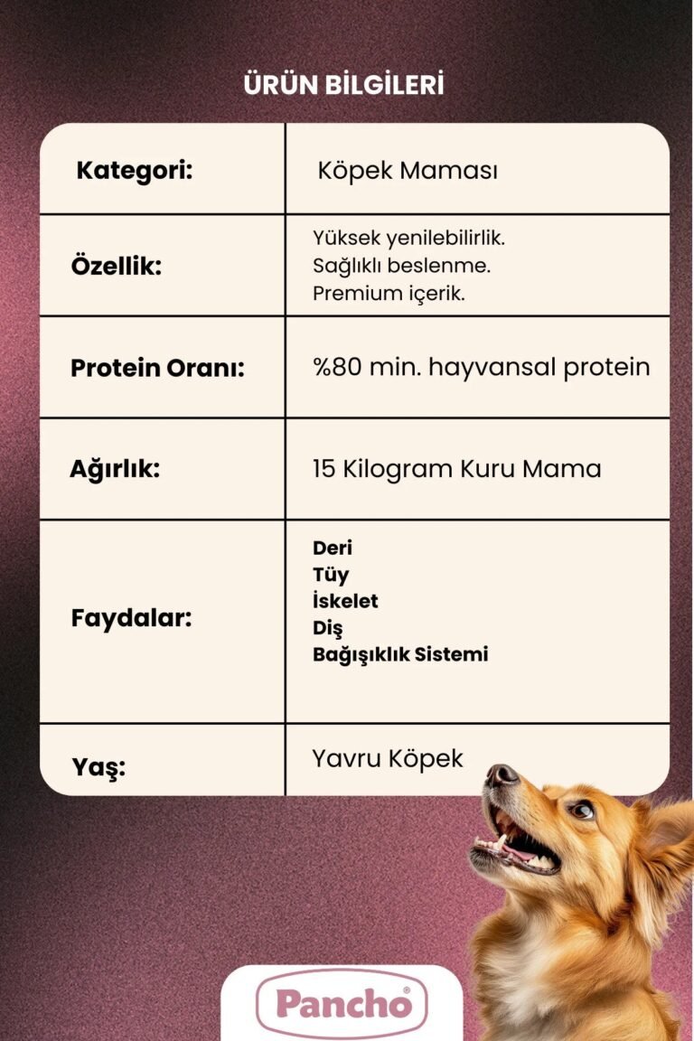 PANCHO KUZU ETLİ PUPPY 2
