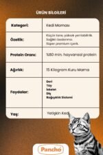 PANCHO KUZU ETLİ KEDİ 2