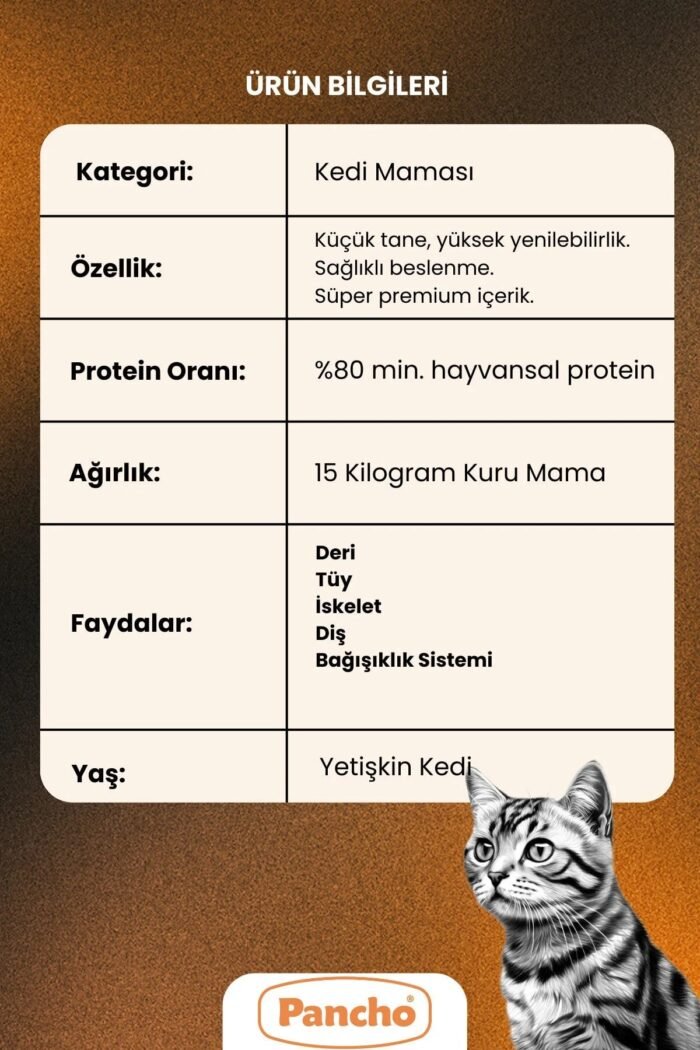 PANCHO KUZU ETLİ KEDİ 2
