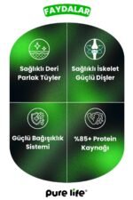 PURELİFE PUPPY KUZULU YAVRU 3