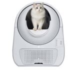 CatLink Scooper Young Otomatik