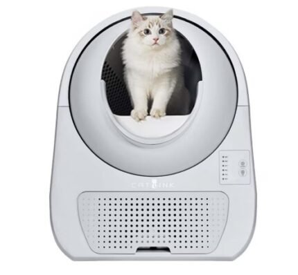CatLink Scooper Young Otomatik