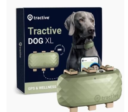 Tractive GPS XL Köpek