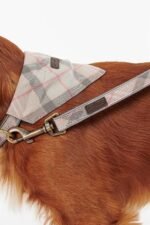 Barbour Reflective Tartan Köpek 2