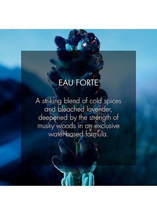 Dior Sauvage Eau Forte 2