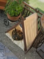 Vune Concept Ketu Kedi 2