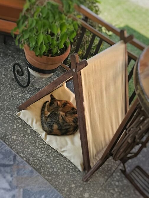 Vune Concept Ketu Kedi 2