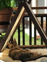 Vune Concept Ketu Kedi 3