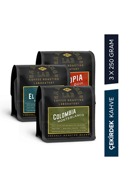A Roasting Lab New