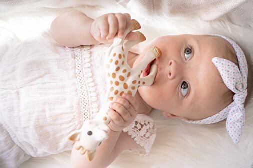 Sophie La Girafe Diş 2