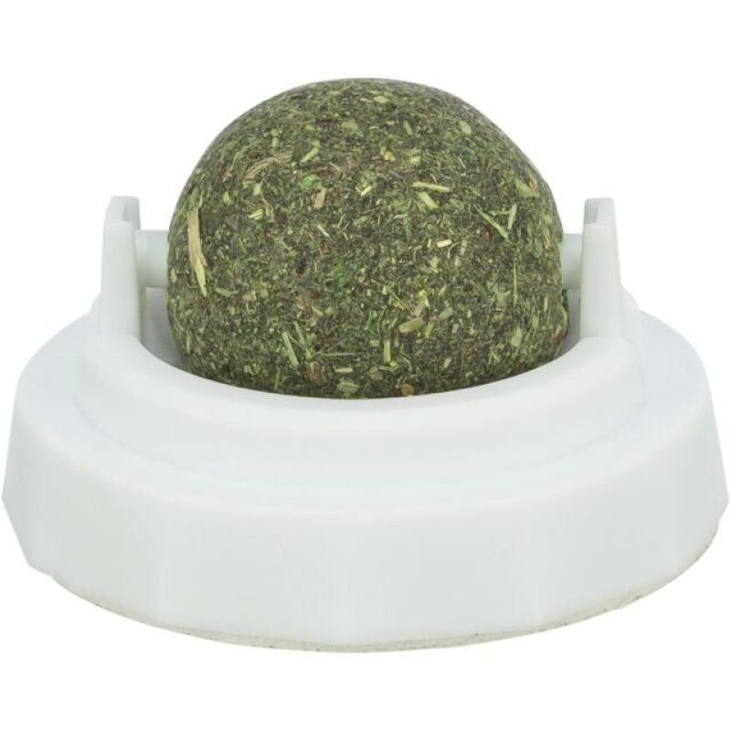 tryoshop-catnip-ball-with-handle-for-cats-5-cm-for-sticking-2082717-2 Kedi için saplı kedi otu topu, 5 cm - Görsel 1