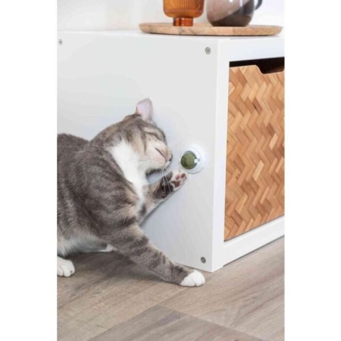 Kedi için saplı kedi otu topu, 5 cm - Görsel 3