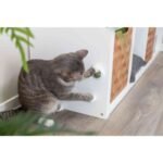 Kedi için saplı kedi otu topu, 5 cm - Görsel 4
