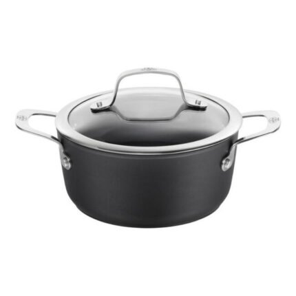 Zwilling Tencere Cam Kapaklı