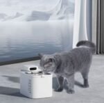 PETKIT Cordless Eversweet Max Akıllı Kedi/Köpek Su Pınarı (3 Litre) - Görsel 3