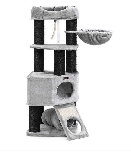 Hamaklı ve Evli Kedi