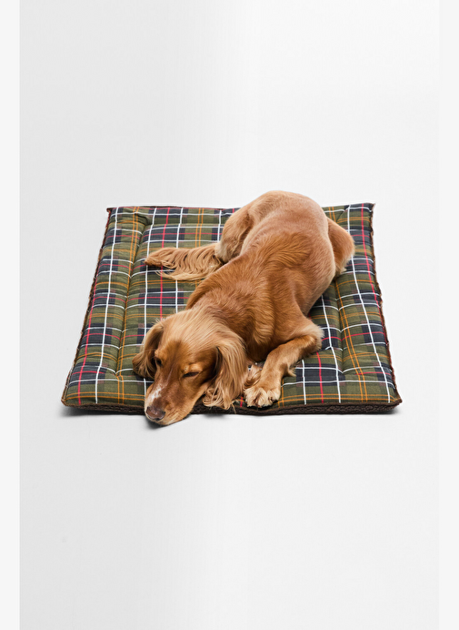 Barbour Köpek Minderi TN11