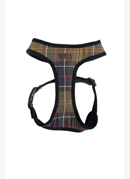 Barbour Tartan Köpek Göğüs