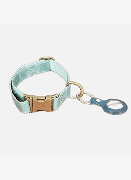 Bloominbag BloomPaw Lime Mist Hakiki Deri Pet Tasma