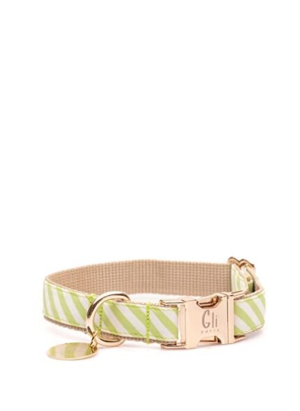 Gliparis Green Köpek Boyun