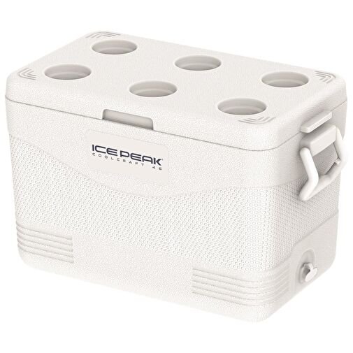 IcePeak CoolCraft 46 Buzluk 2
