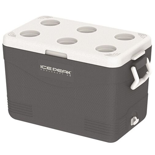 IcePeak CoolCraft 46 Buzluk 2
