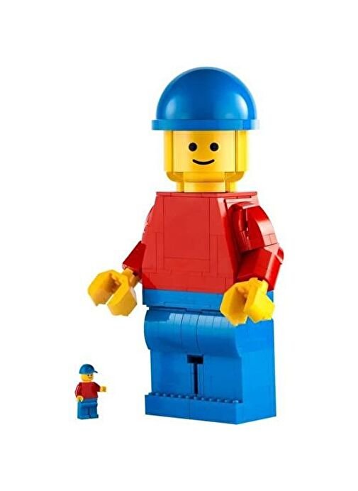Lego Iconic 40649 Dev 2