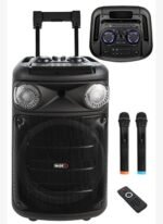 Midex 1100 Watt Ekholu Kablosuz Mikrofonlu Şarjlı Mevlüt Anfisi MXR-1100 (Bluetoth Usb)