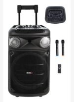 Midex 1300 Watt Ekholu Kablosuz Mikrofonlu Şarjlı Mevlüt Anfisi MXR-1300 (Bluetoth Usb)