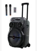 Midex MXR-280 Taşınabilir Mikrofonlu
