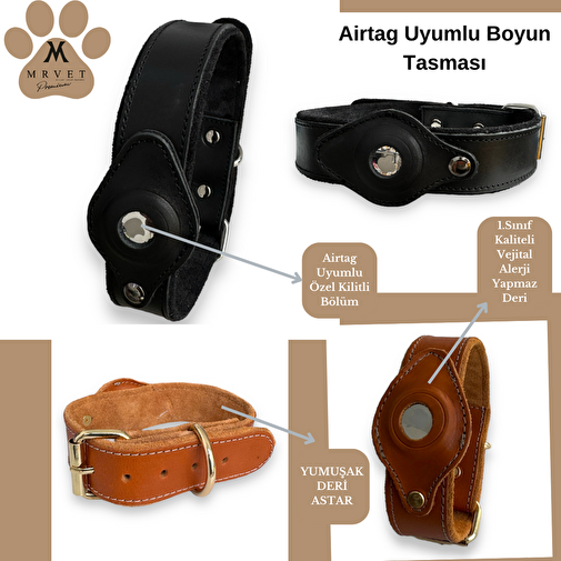MrVeT Airtag Uyumlu Köpek 2