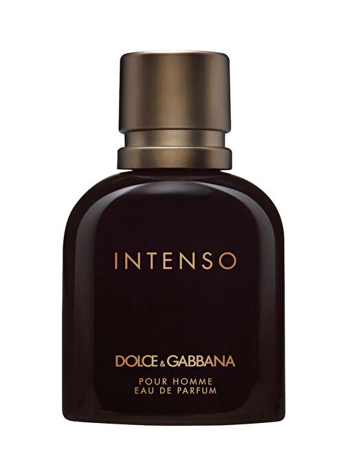 tryoshop-b-pour-homme-intenso-edp-75-ml-erkek-parfum-655167-1 Dolce & Gabbana Pour