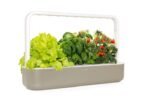 Click and Grow Smart Garden 9 Akıllı Saksı / Bahçe (Bej)